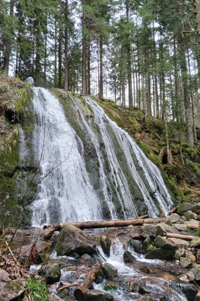 Charmant Gite, Au Calme, Avec Vue Imprenable Sur La Nature Environnante Deycimont Exterior foto